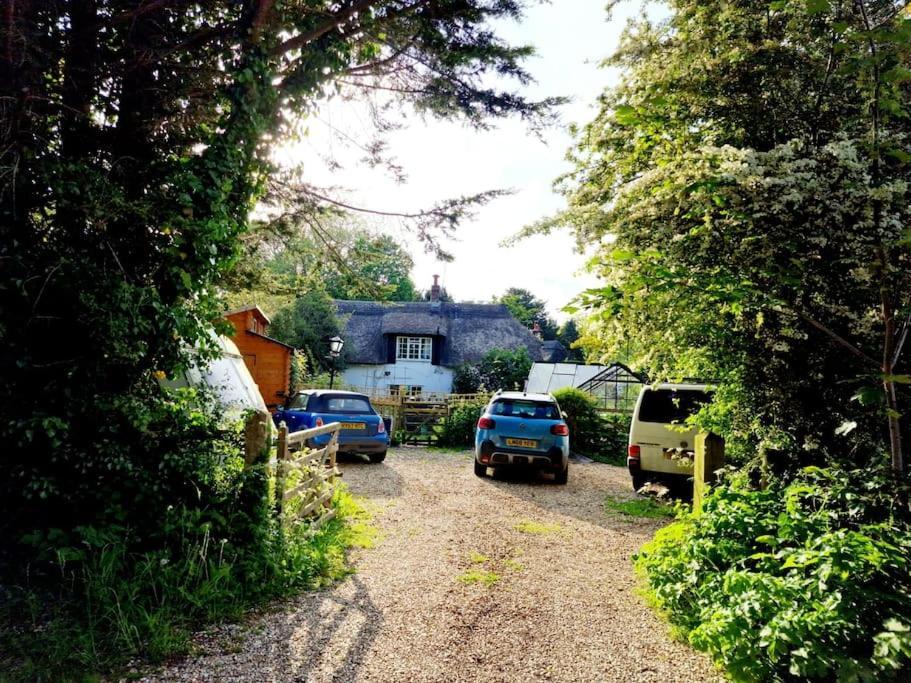 Piddle Puddle Cabin Dorchester Eksteriør bilde