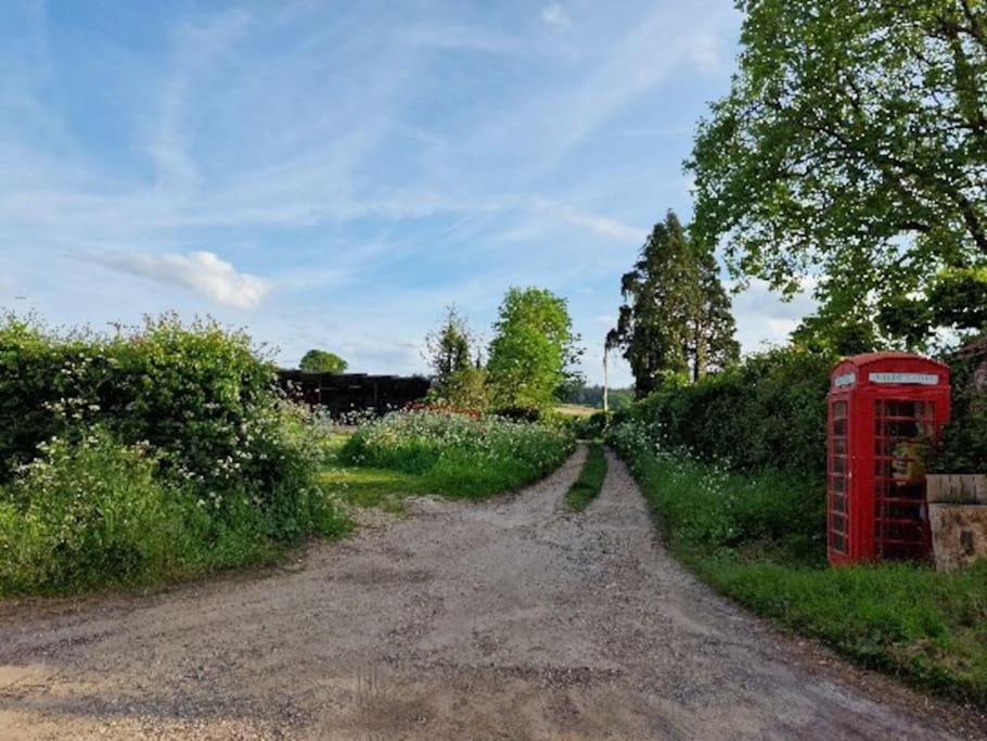 Piddle Puddle Cabin Dorchester Eksteriør bilde