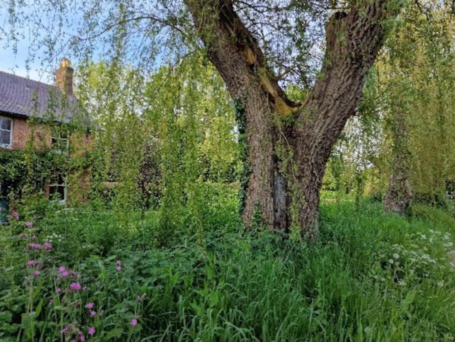 Piddle Puddle Cabin Dorchester Eksteriør bilde